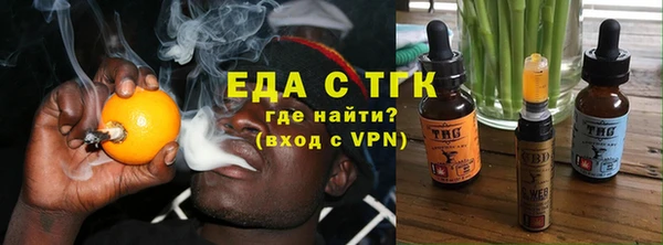 индика Богородицк