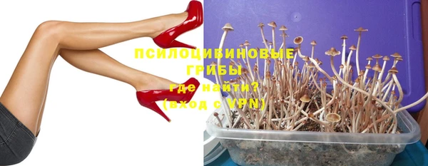шишки Бородино