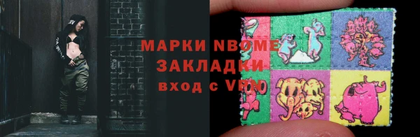 шишки Бородино