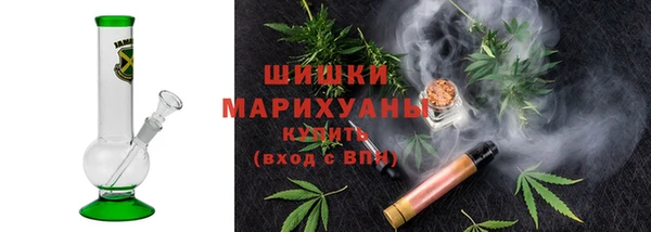 шишки Бородино