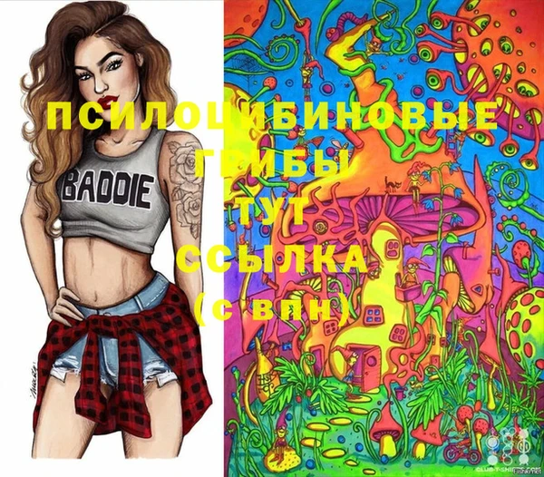 шишки Бородино