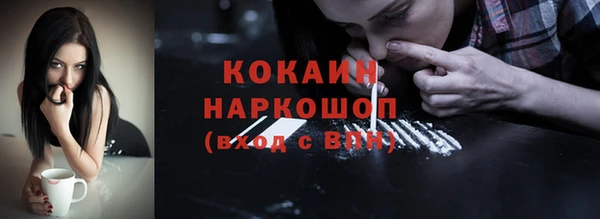 индика Богородицк