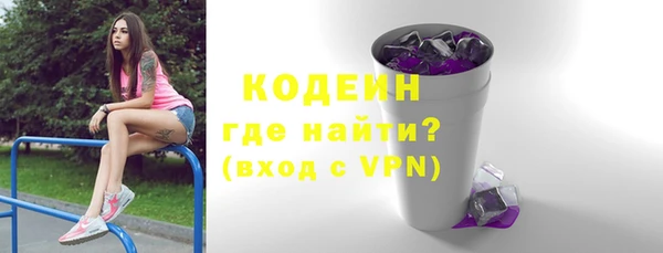 индика Богородицк