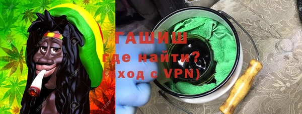 индика Богородицк