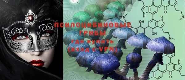 шишки Бородино