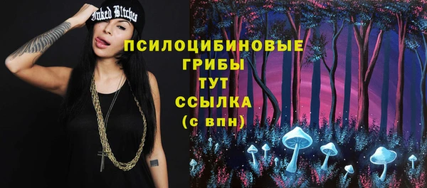 шишки Бородино