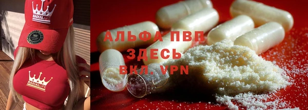 индика Богородицк