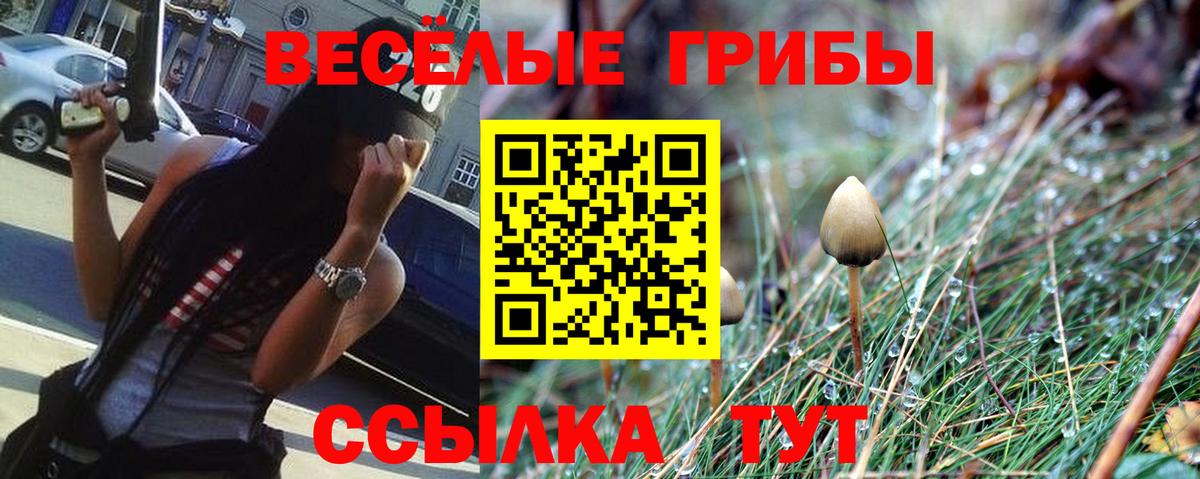 Галлюциногенные грибы Psilocybine cubensis Надым